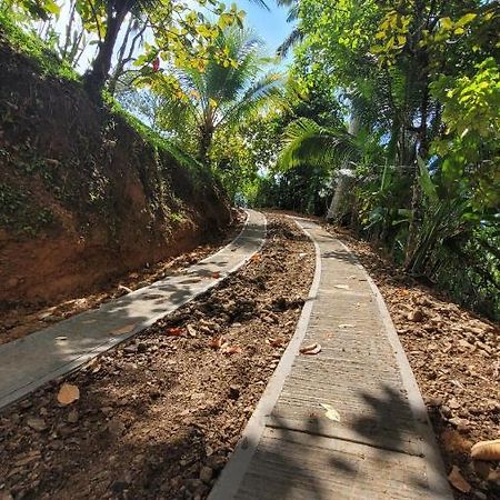 Private Jungle “Loft Del Rio” River Access Uvita Bagian luar foto